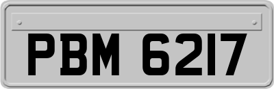 PBM6217