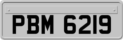 PBM6219