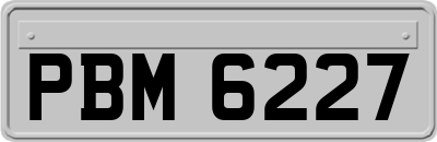 PBM6227