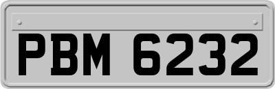 PBM6232