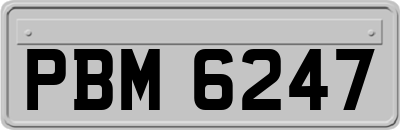 PBM6247