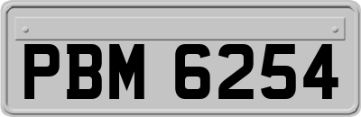 PBM6254