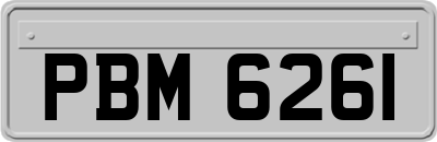 PBM6261