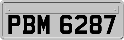 PBM6287