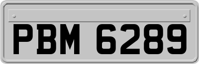 PBM6289