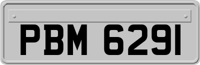 PBM6291