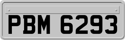 PBM6293