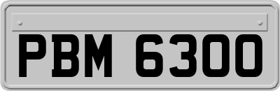 PBM6300