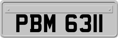 PBM6311