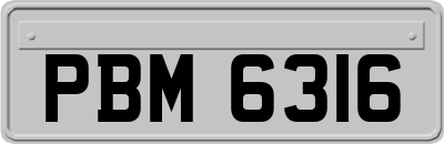 PBM6316