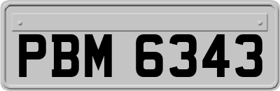 PBM6343