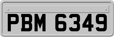 PBM6349