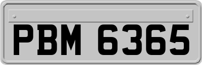 PBM6365