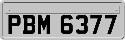 PBM6377