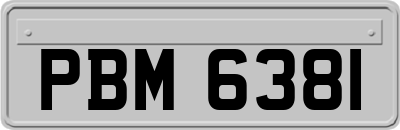 PBM6381