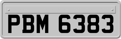 PBM6383