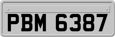 PBM6387