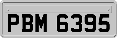 PBM6395