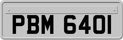 PBM6401