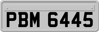 PBM6445