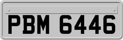 PBM6446