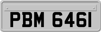 PBM6461