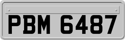 PBM6487