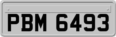 PBM6493