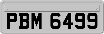 PBM6499