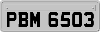 PBM6503