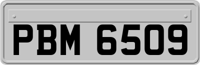 PBM6509