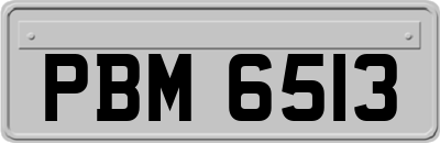 PBM6513