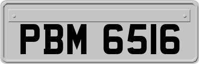 PBM6516