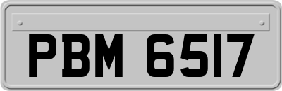 PBM6517