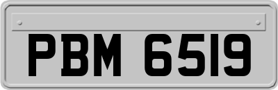 PBM6519