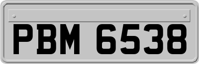 PBM6538