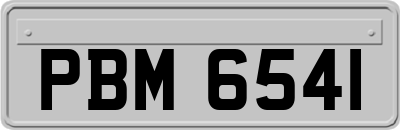 PBM6541