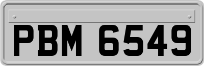 PBM6549