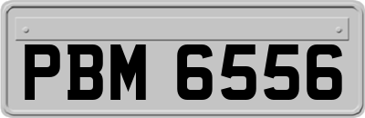 PBM6556