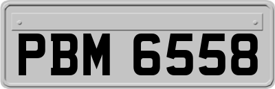 PBM6558