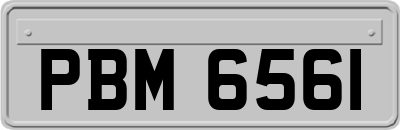 PBM6561