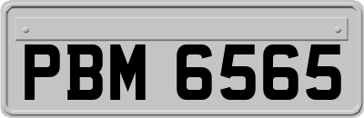 PBM6565