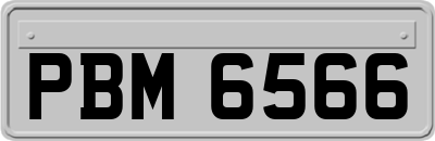 PBM6566