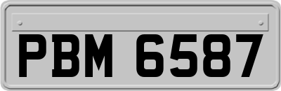 PBM6587