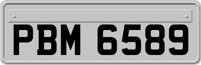 PBM6589