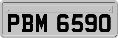 PBM6590