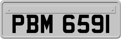 PBM6591