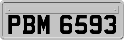 PBM6593