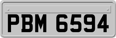 PBM6594