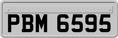 PBM6595